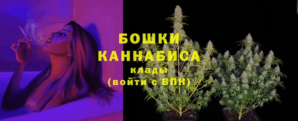 spice Вяземский