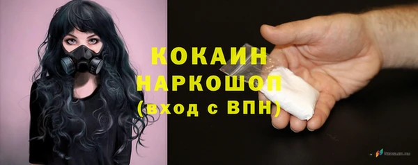 spice Вяземский