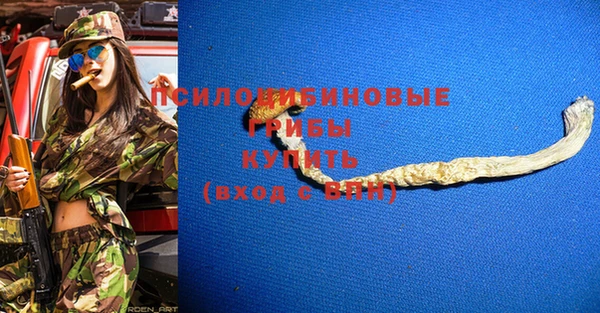 spice Вяземский