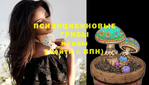 меф Хадыженск