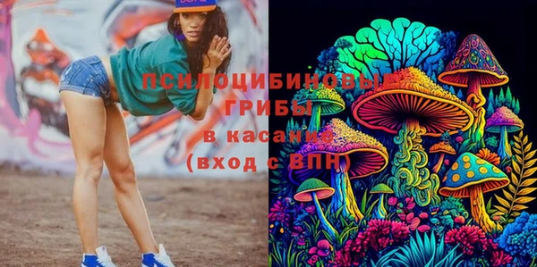 гидропоника Вязьма