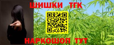 мдпв Кингисепп
