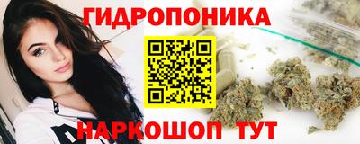 тгк Гусь-Хрустальный