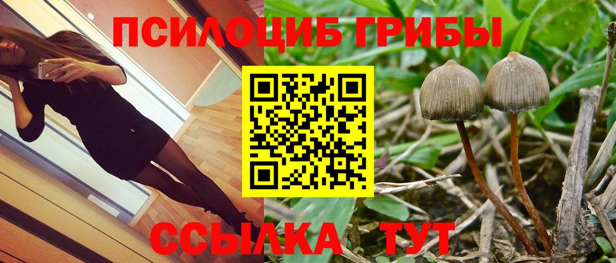 Псилоцибиновые грибы GOLDEN TEACHER Канаш