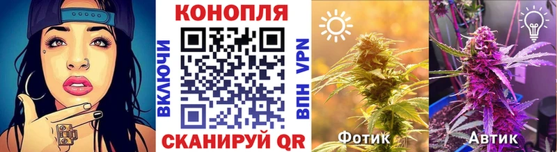 Конопля Bruce Banner  продажа наркотиков  Канаш 